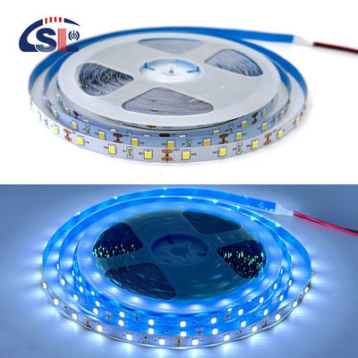 SMD 2835 LED Light Strip12V Intelligent Lighting Uno/tre colori CCT Flessibile Dimming infinito