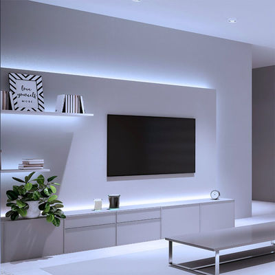 0.4 kg Peso del prodotto Neon Flex Bianco fresco 6000K Mini 24V 4x10mm IP65 impermeabile 168LED/m