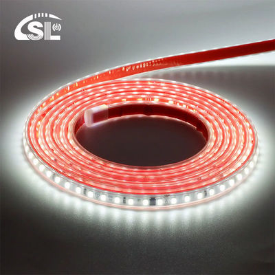24V 115w SMD impermeabile 2835 120leds/m LED Strip Light Outdoor
