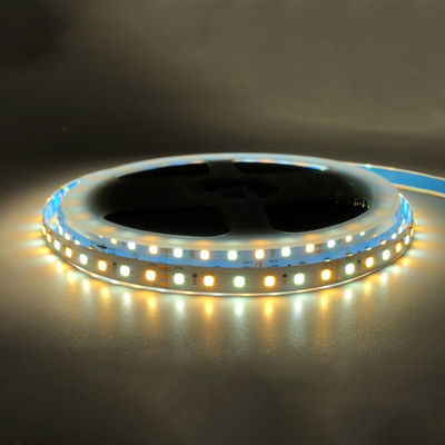Alta luminosità 12V 8mm 120leds SMD2835 Led Strip Light con pannello CCT a doppio lato