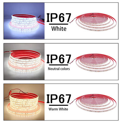 110v220v 8mm 120leds 6500k IP67 Scheda fustellatrice impermeabile SMD2835 LED Strip Light