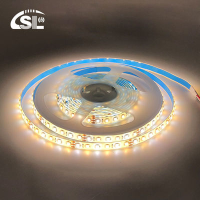10mm 240leds 3000K-6500K CCT impermeabile ip65 doppio colore SMD2835 Led Strip Light 12v24v