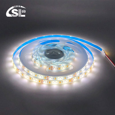 10mm 240leds 3000K-6500K CCT impermeabile ip65 doppio colore SMD2835 Led Strip Light 12v24v