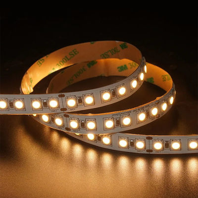 12V 24V Caccia Soft Outdoor Silicone Smart Light Smd Flessibile Led Neon Strip Light 10M