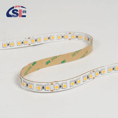 12V 24V Caccia Soft Outdoor Silicone Smart Light Smd Flessibile Led Neon Strip Light 10M