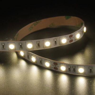 10M LED Strip Light con CRI Ra 90 e misurazione in loco Copertura in silicone Smart Smd2835
