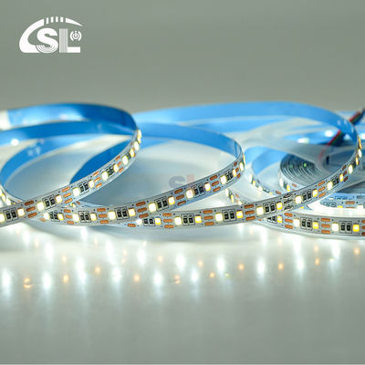 Temperatura del colore regolabile LED Strip Light 120 LED/m Doppio colore 8MM Non impermeabile