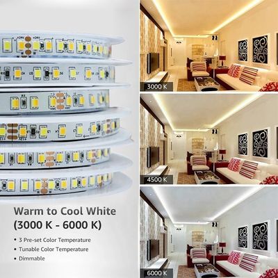Temperatura del colore regolabile LED Strip Light 120 LED/m Doppio colore 8MM Non impermeabile