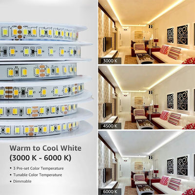 Illuminazione paesaggistica Alta luminosità Smd 2835 140D Led Flessibile Strip Light CRI Ra 90