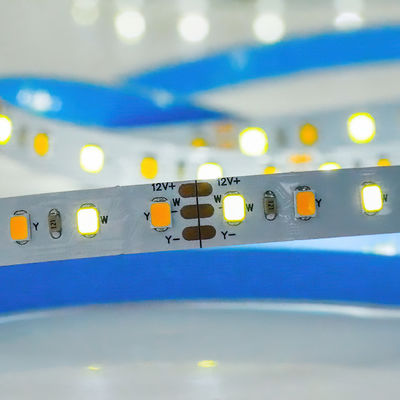 CCT personalizzato 12V24V 8mm 120leds 3000K-6500K caldo bianco-bianco SMD2835 LED Strip Light
