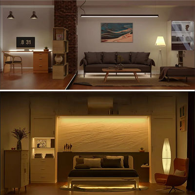 Decorazione interna Alta luminosità 12v24v 10mm 120leds 3000K-6500K CCT Flessibile doppio colore COB Led Strip Light