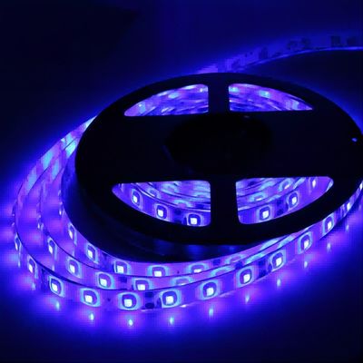IP20 12V SMD2835 120LED/m LED Strip Light con CE RoHS Personalizza quantità di LED