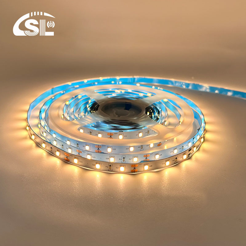 12V 60LED/m 2700K-3000K SMD monocolore 2835 luce a striscia a retro a LED bianca calda