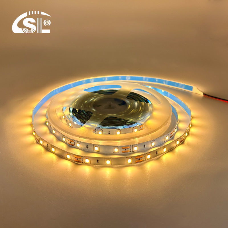 Flessibile DC12V24V 8mm10mm 60leds 3000K Caldo Bianco Die-Board SMD2835 per l'illuminazione degli hotel
