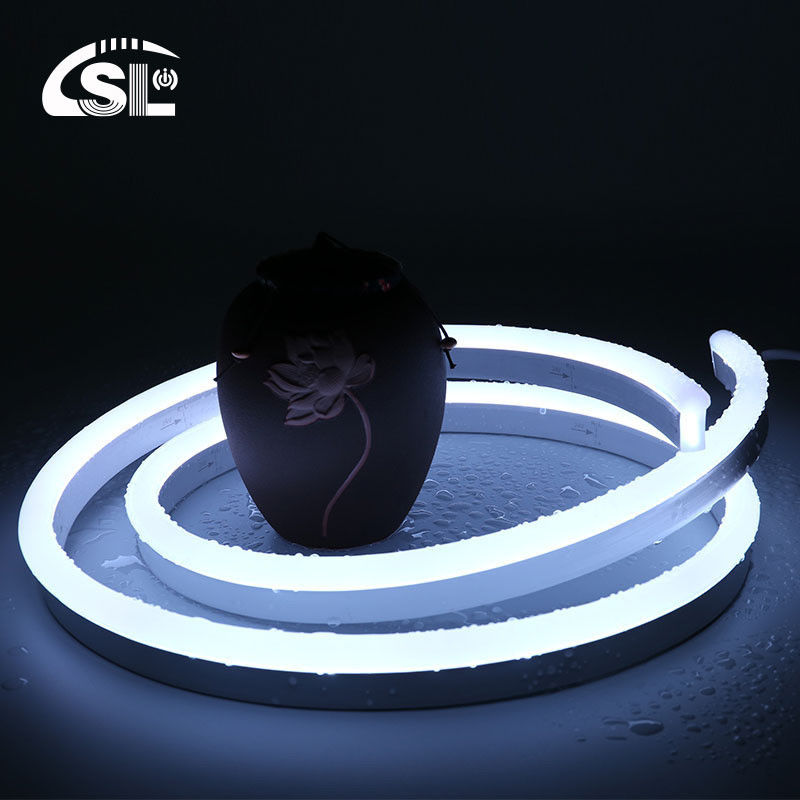 Neon Flex DC 12V IP65 impermeabile 8x16mm 120 LED/M Kit completo 12V per l'energia- funzionamento