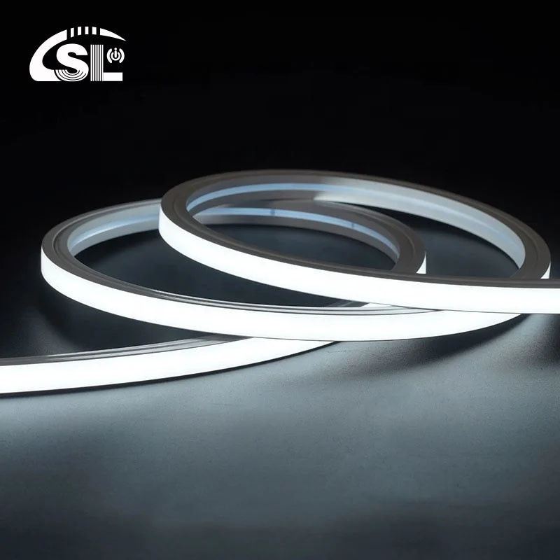 110V 127V 220V 260V Outdoor IP65 impermeabile 120leds/m SMD 2835 Led Strip Light OEM ODM
