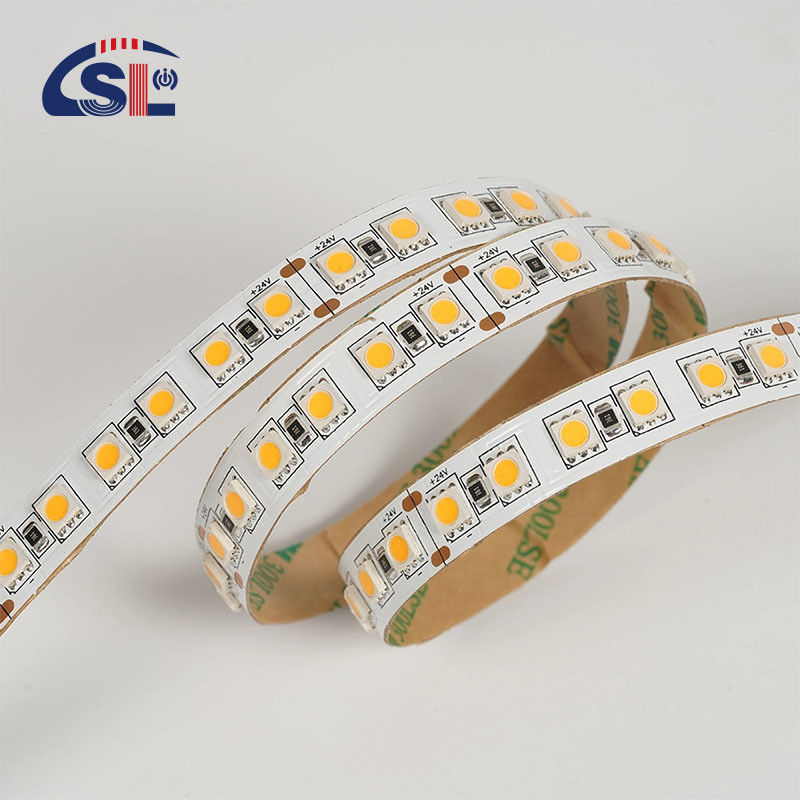 12V 24V Caccia Soft Outdoor Silicone Smart Light Smd Flessibile Led Neon Strip Light 10M