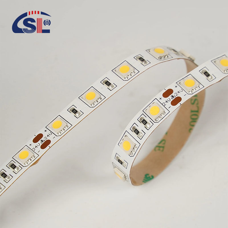 10M LED Strip Light con CRI Ra 90 e misurazione in loco Copertura in silicone Smart Smd2835