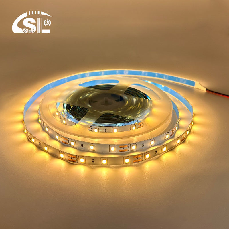 DC12V24V 8mm10mm 60leds 12000K Cool White SMD2835 Led Strip Light per cucina soggiorno