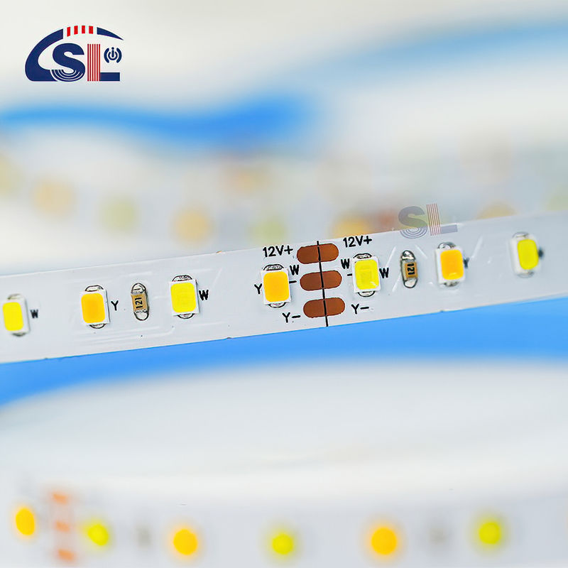 CCT personalizzato 12V24V 8mm 120leds 3000K-6500K caldo bianco-bianco SMD2835 LED Strip Light